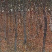 Beech Forest I (mk20)